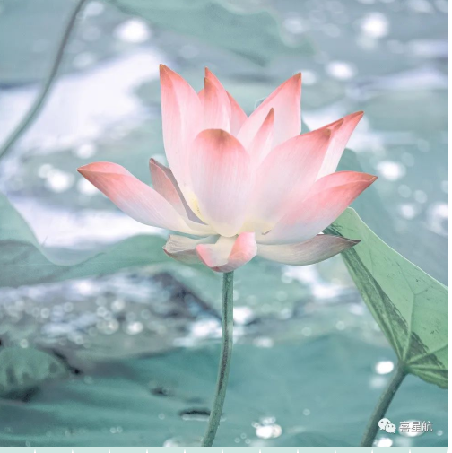 定了！今年居民醫(yī)保繳費(fèi)標(biāo)準(zhǔn)每人每年350元！